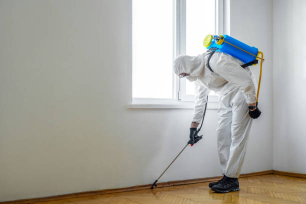 Best Emergency Pest Control  in Lebanon, OH