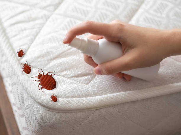 Best Pest Removal Services  in Lebanon, OH